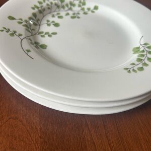 Martha Stewart Luncheon Plates